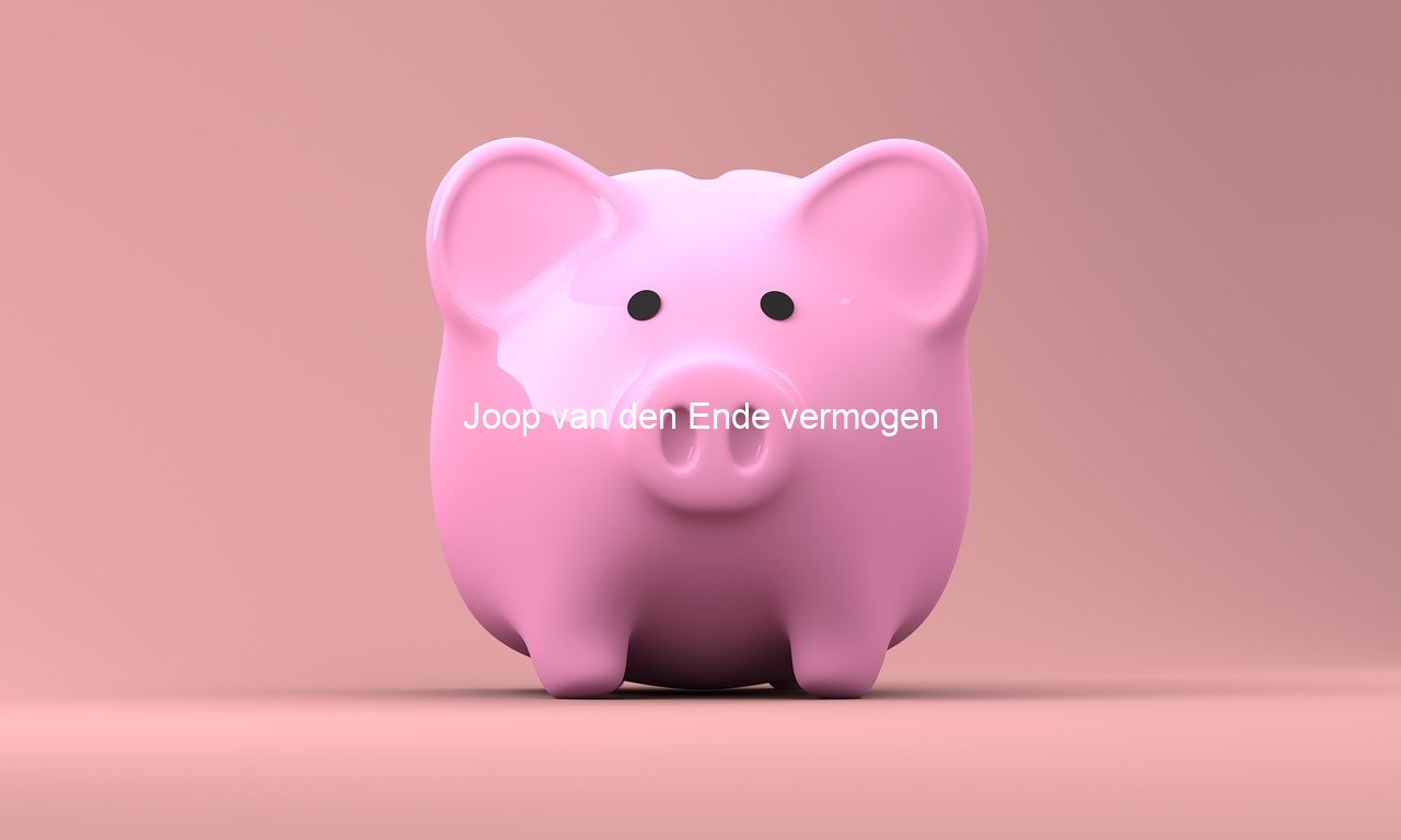 Joop van den Ende vermogen Financiële Hulp Joop van den Ende vermogen Financiële Hulp