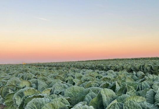 Duurzaam beleggen: Een groeiende trend met positieve impact